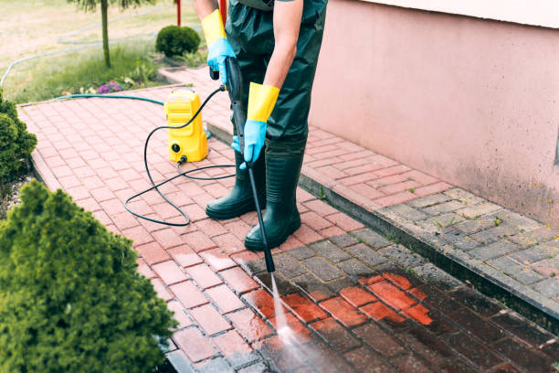 Best Roof Washing  in Webster, TX