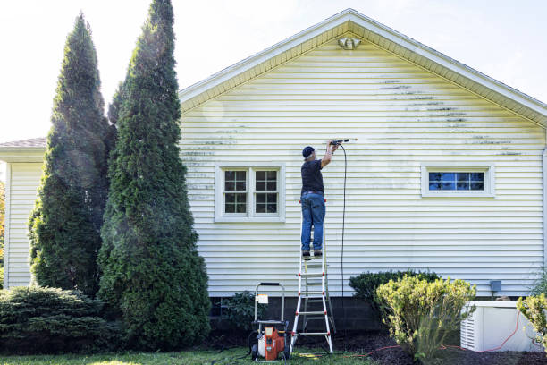 Best Sign and Awning Cleaning  in Webster, TX